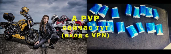 стафф Гусиноозёрск