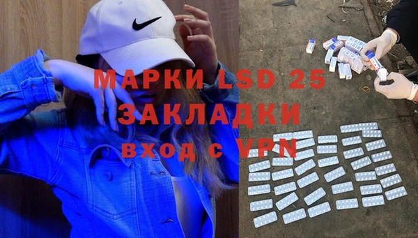 таблы Гусев
