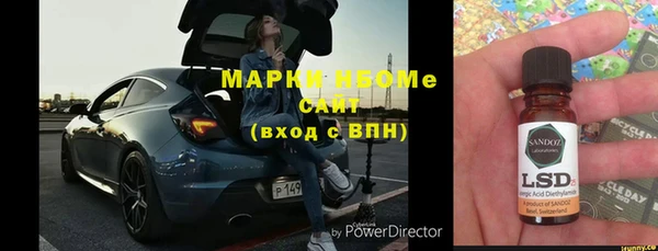 таблы Гусев