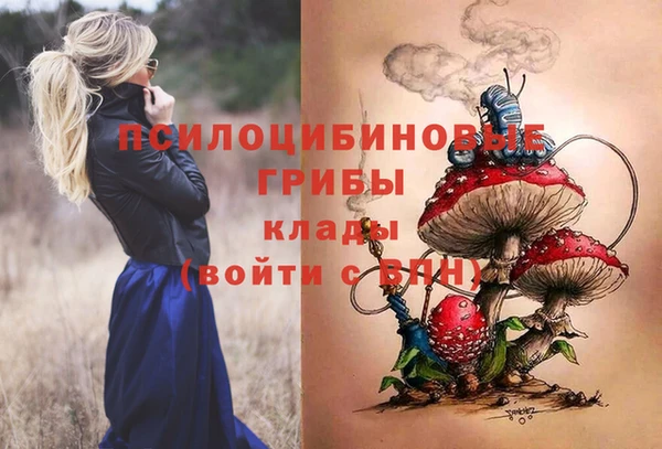 таблы Гусев