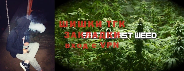 дмт Гусь-Хрустальный