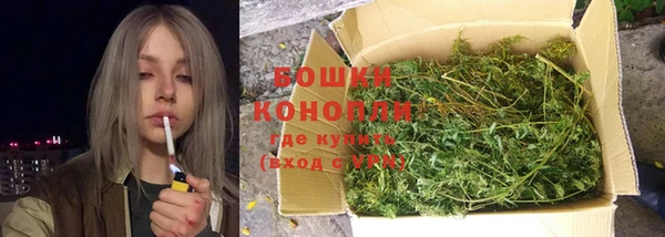стафф Гусиноозёрск