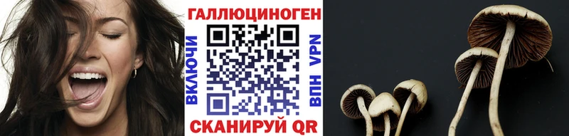 Купить закладки Жуков Псилоцибиновые грибы мухоморы